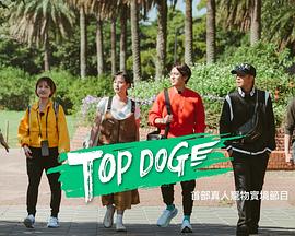 男人色阁《TOP DOG》免费在线观看