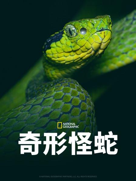 男人藏精阁《奇形怪蛇》免费在线观看